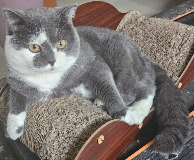 inscription 0eb14ad7021e3ee0e333eb25c03b06c2ca909cfb69100dc69bdca60acf11235fi0