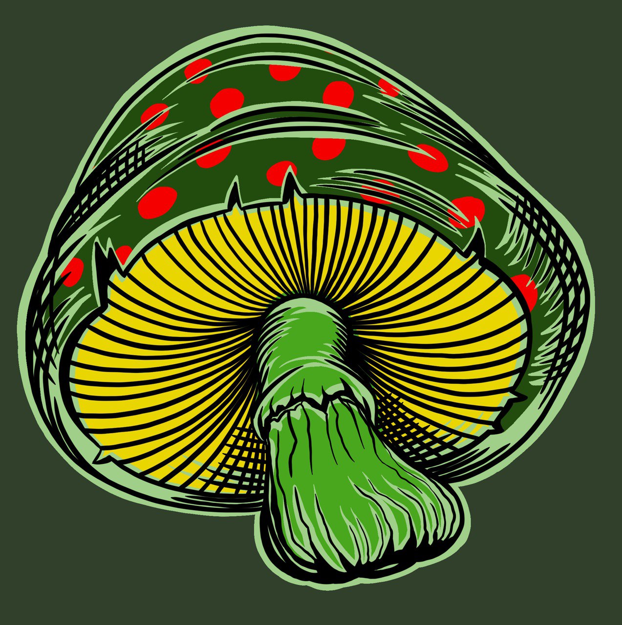 inscription 6bffbc7c9fc518c4041cb1b9a265c986cf2f72fafdd2012ae55698cd9fb01944i0