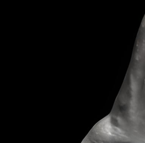 inscription c3f2d85e3476e70668fb8b49823deccef17463706cada8758551ee742a65dd19i15