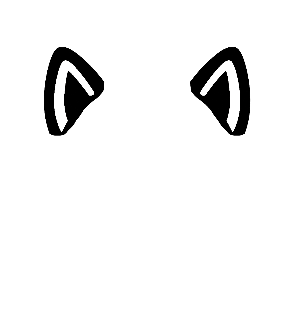 inscription c51f41dfa13033d9f4df85f391fed8bbb140ac1c71a4322eb5b610e67d487fe2i1